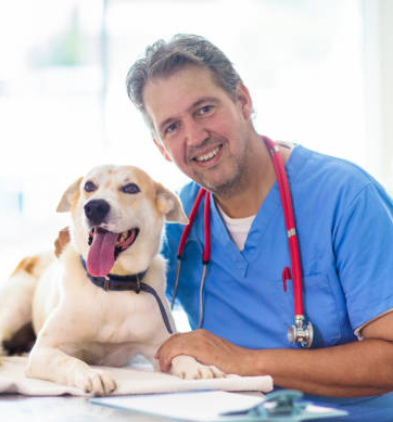 –Dr. Lewis, DVM, MS